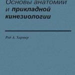 Основы анатомии и прикладной кинезиологии. Род А. Хартер.