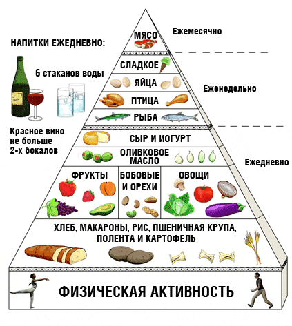 Средиземноморская пирамида питания Средиземноморская пирамида питания