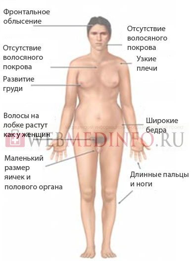 Высокий рост маленький член